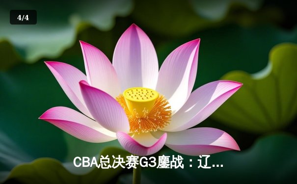 CBA总决赛G3鏖战：辽宁本钢加时险胜浙江广厦，赵继伟砍下29+12率队夺赛点 - 4